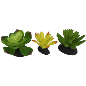 Succulent 3pk (Yellow/Green)