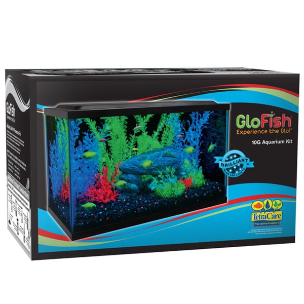 Aquarium Kit 10g