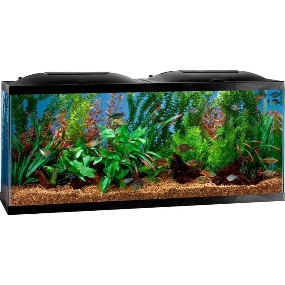 BIO-Wheel LED Aquarium Kit 55