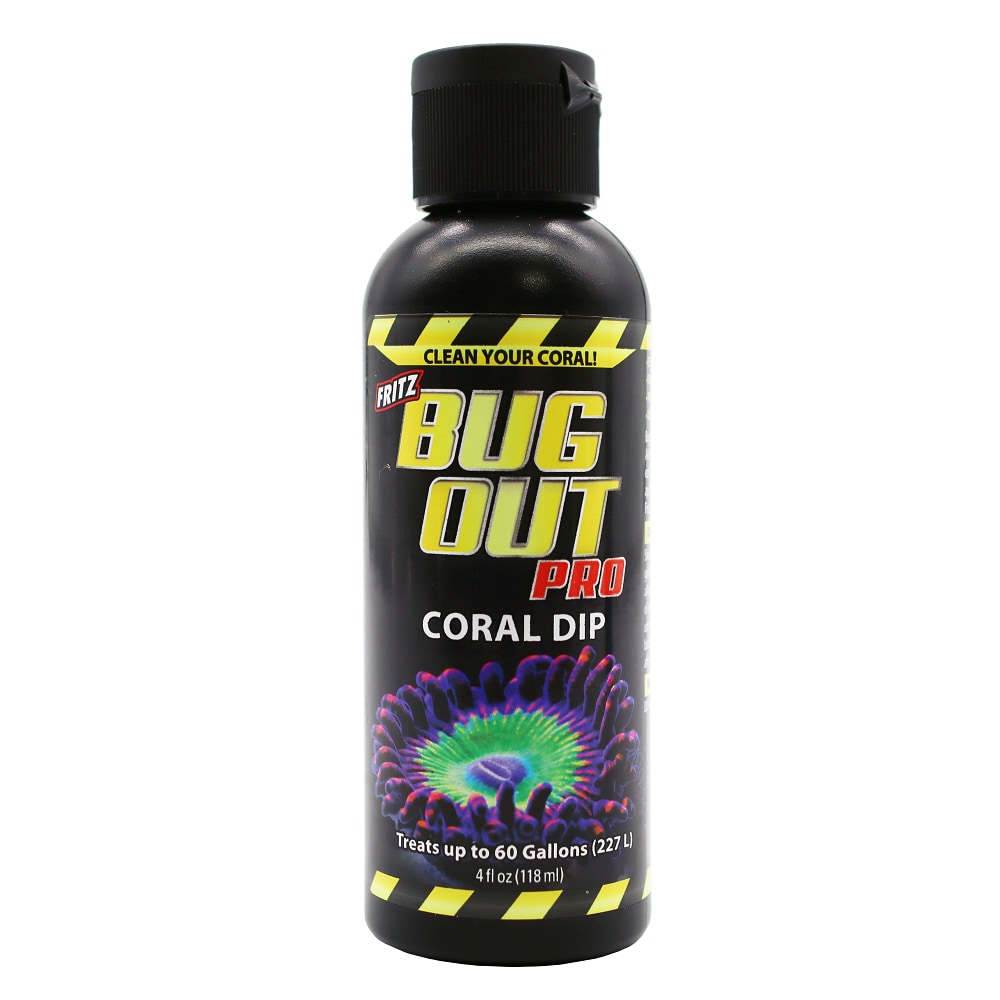 Bug Out Coral Dip 4oz