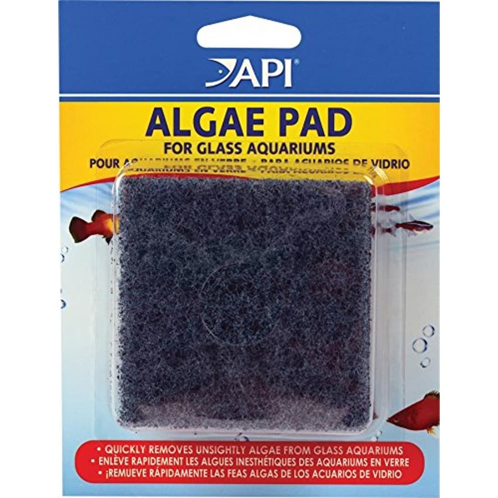 Algae Pad for Glass