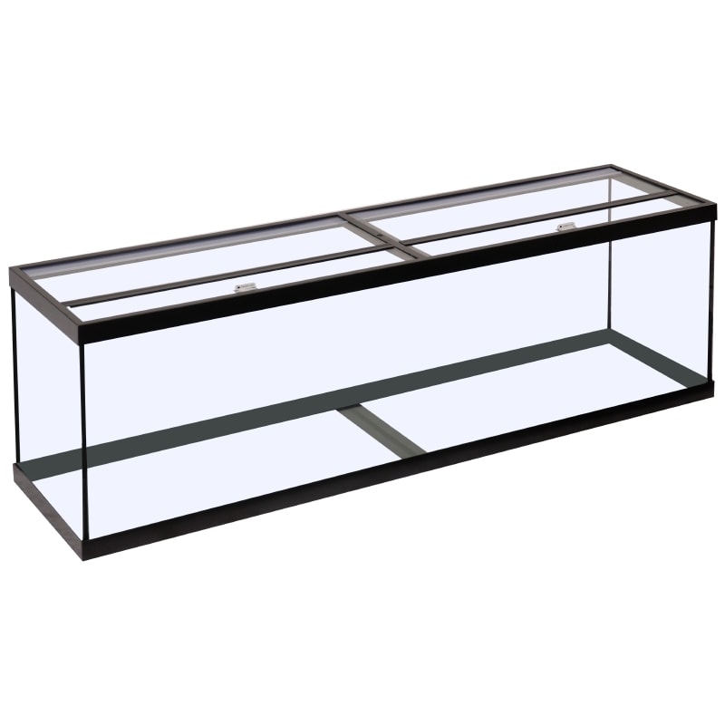 150G Aquarium, 72