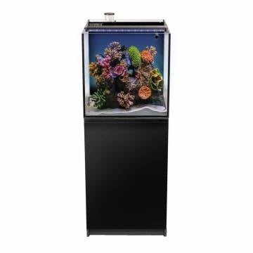Recife ECO 40-Gal w/ LED Light w/ Black Stand