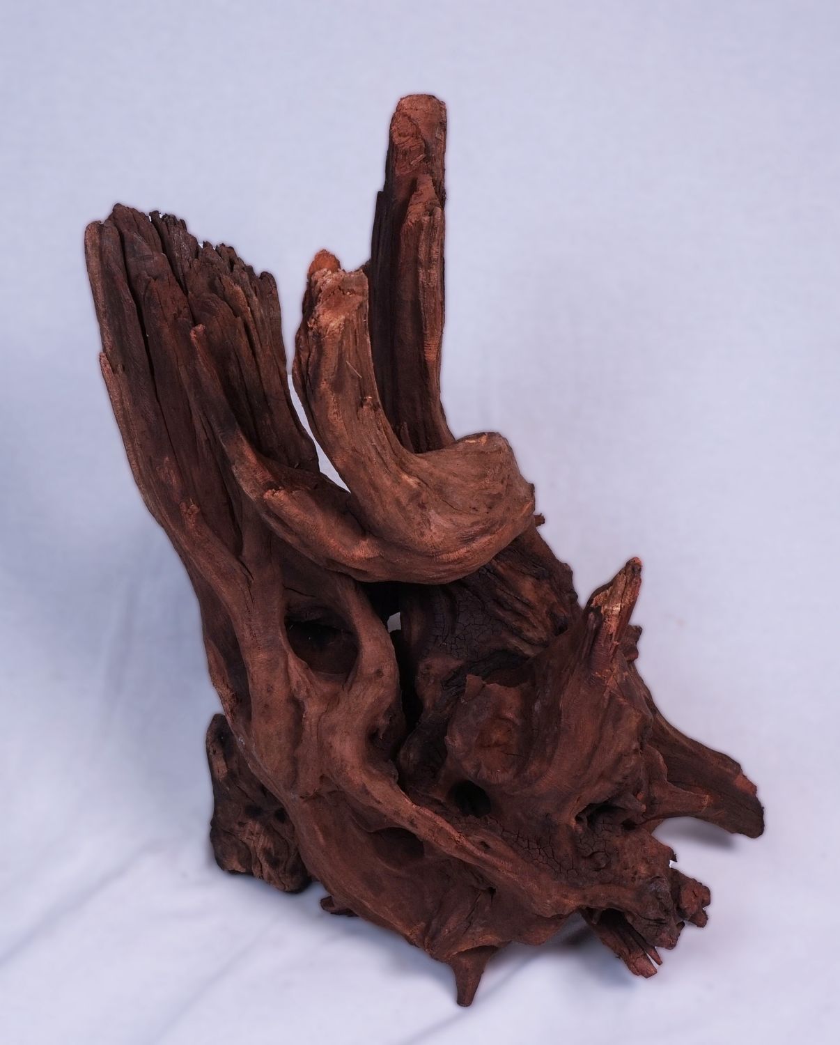 Pisces Ancient Wood Small 9-16in