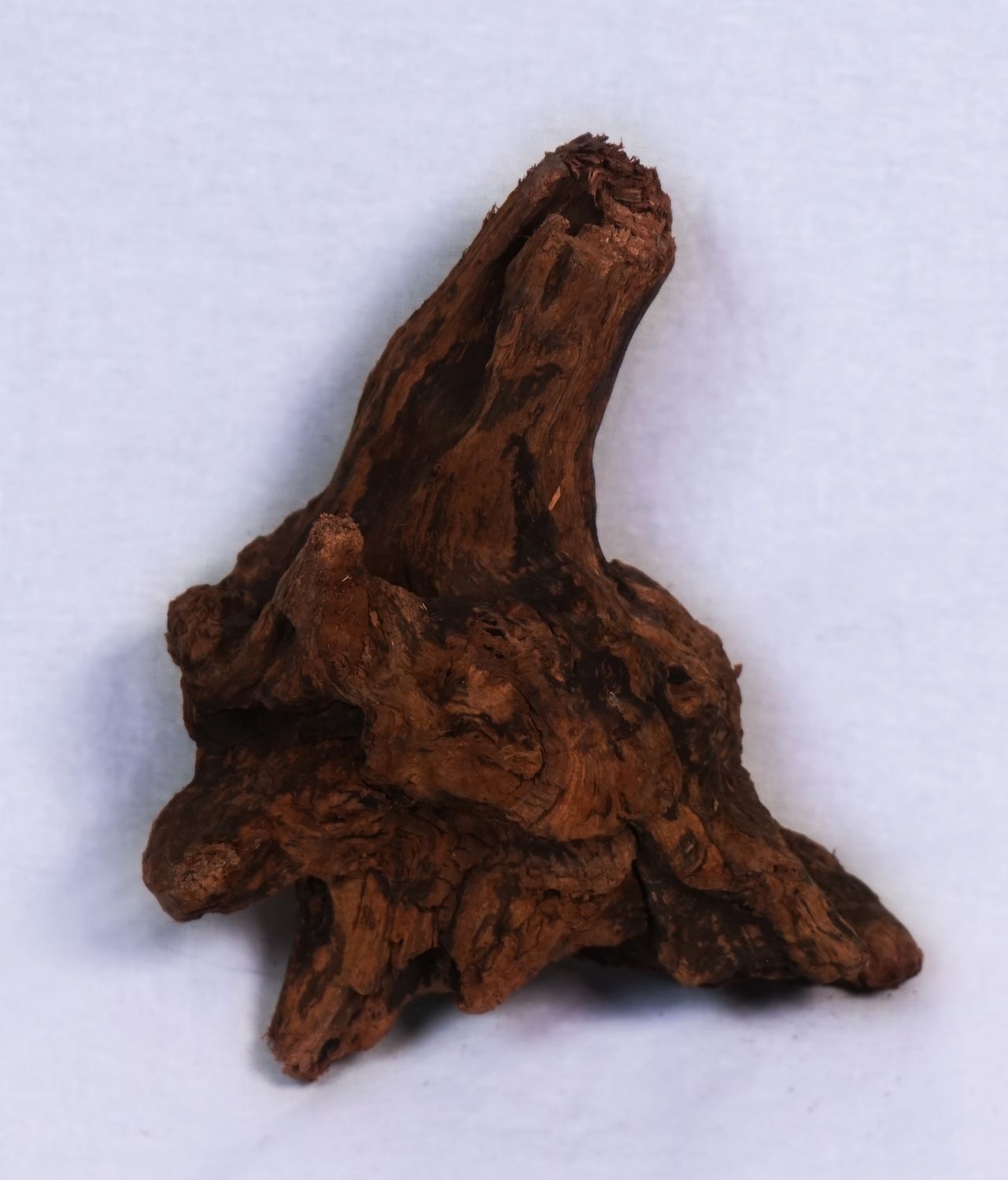 Pisces Ancient Wood Nano <8in