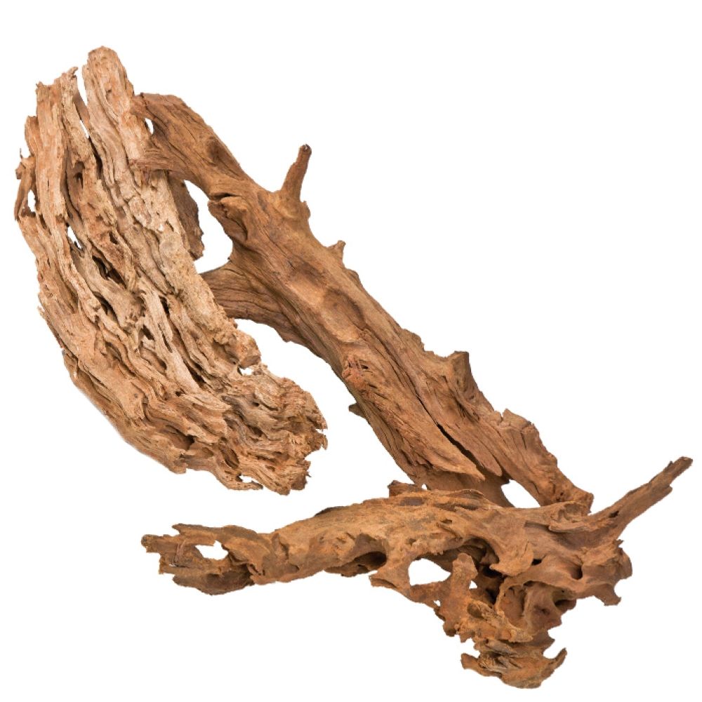 Pisces Wizard Wood Large 21-28in