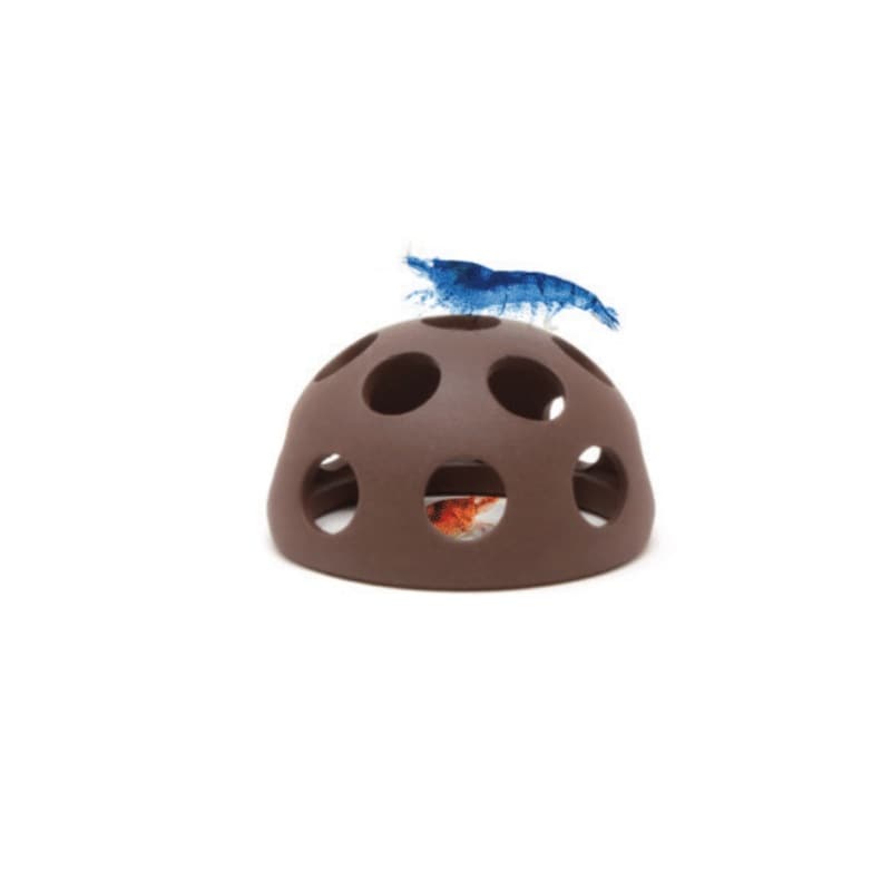 Aquavitro Shrimp Dome