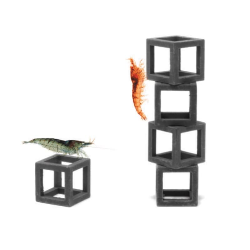 Aquavitro Shrimp Cubes 5pcs