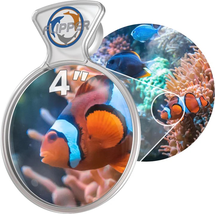 Flipper DeepSee Viewer Clear 4