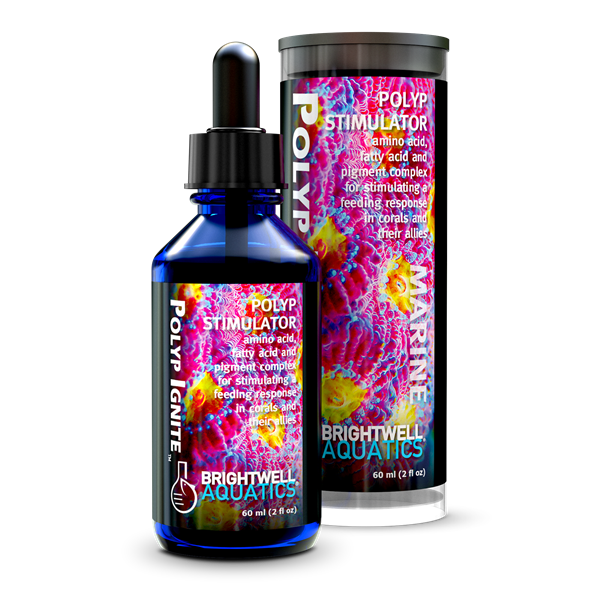 Polyp Ignite, 17oz/500ml