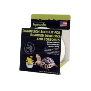 Grow Your Own Dandelion Kit