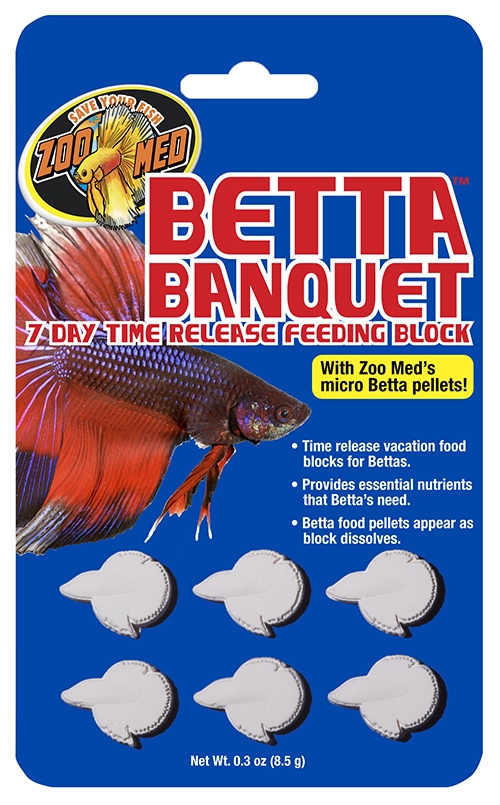 Betta Banquet Blocks 6 Card