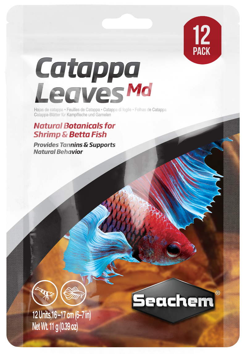 Catappa Leaves Medium 12 Pack