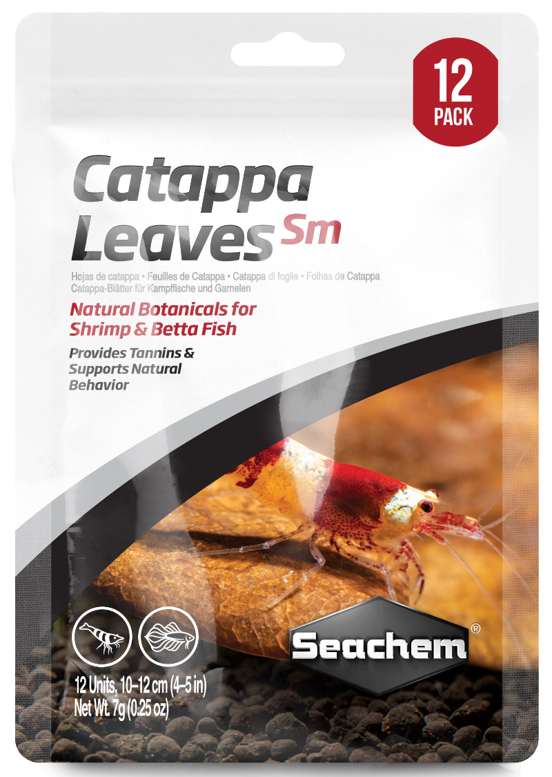 Catappa Leaves Small 12 Pack
