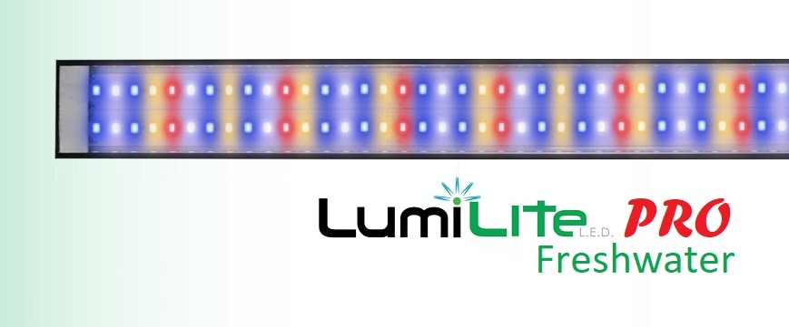 LumiLite Pro FW LED Strip 24