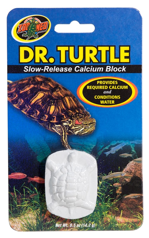 Dr. Turtle