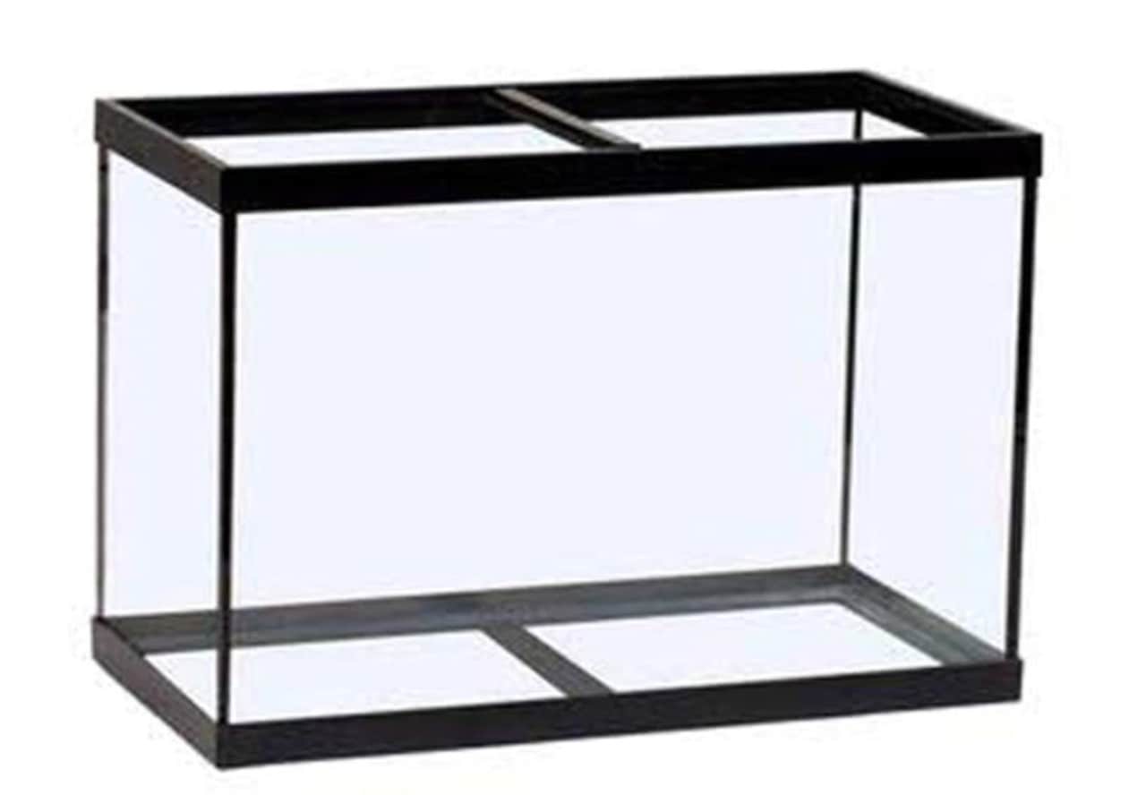 065G Aquarium, 36