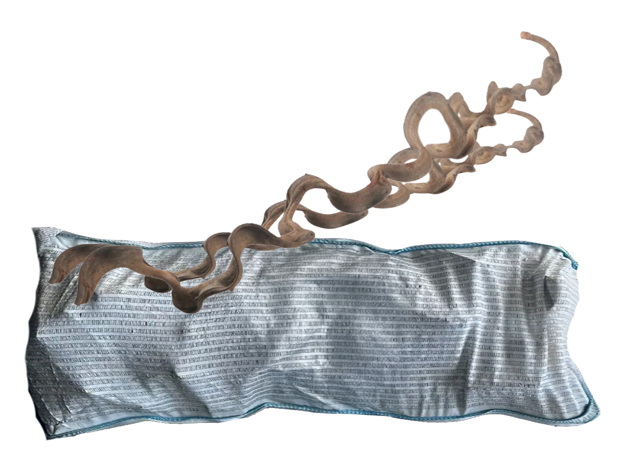 twisted branch Bulk Bag (30-40 lbs)