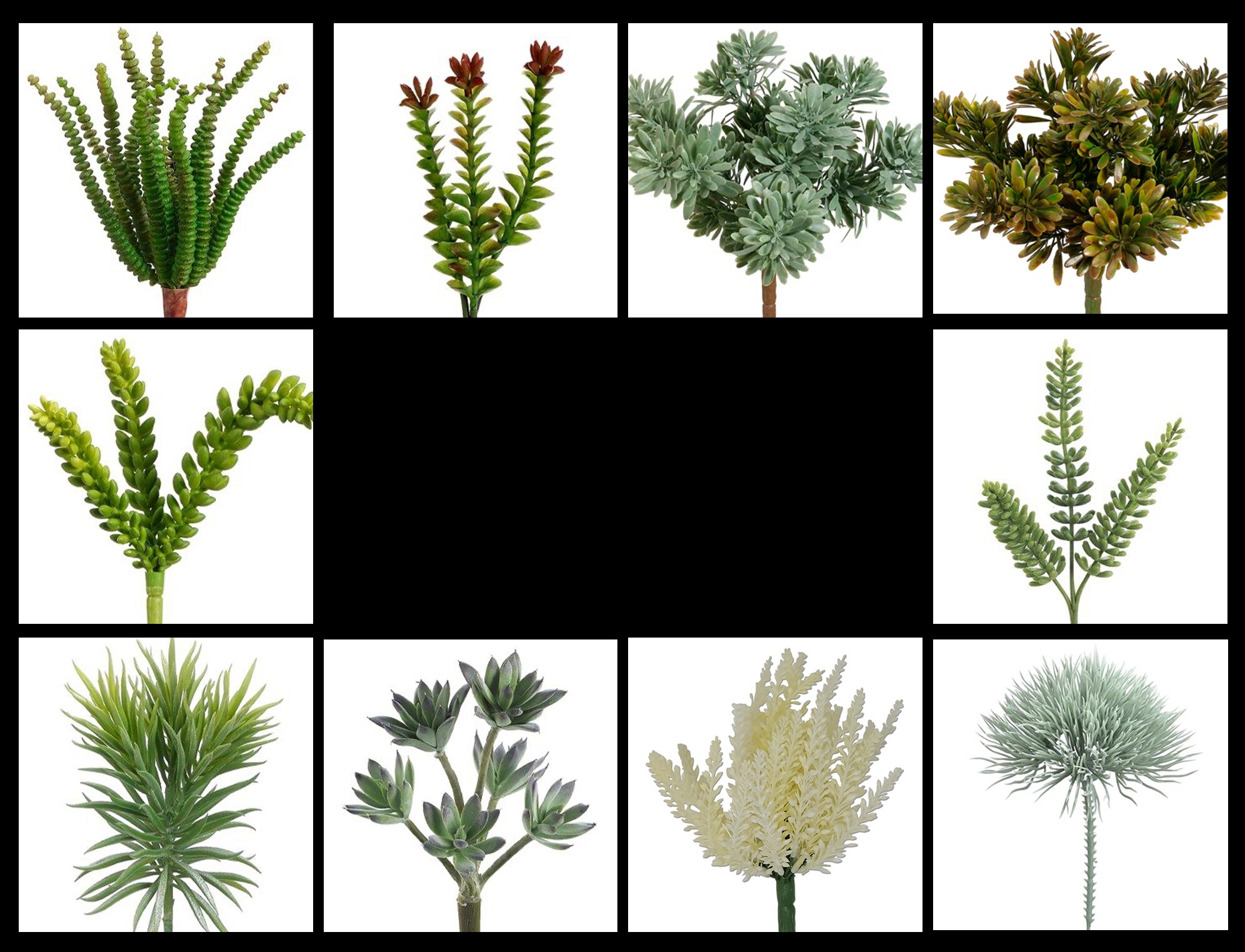 Naturescapes Essential Succulent Plant Pack