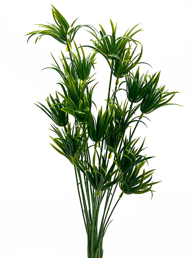 25