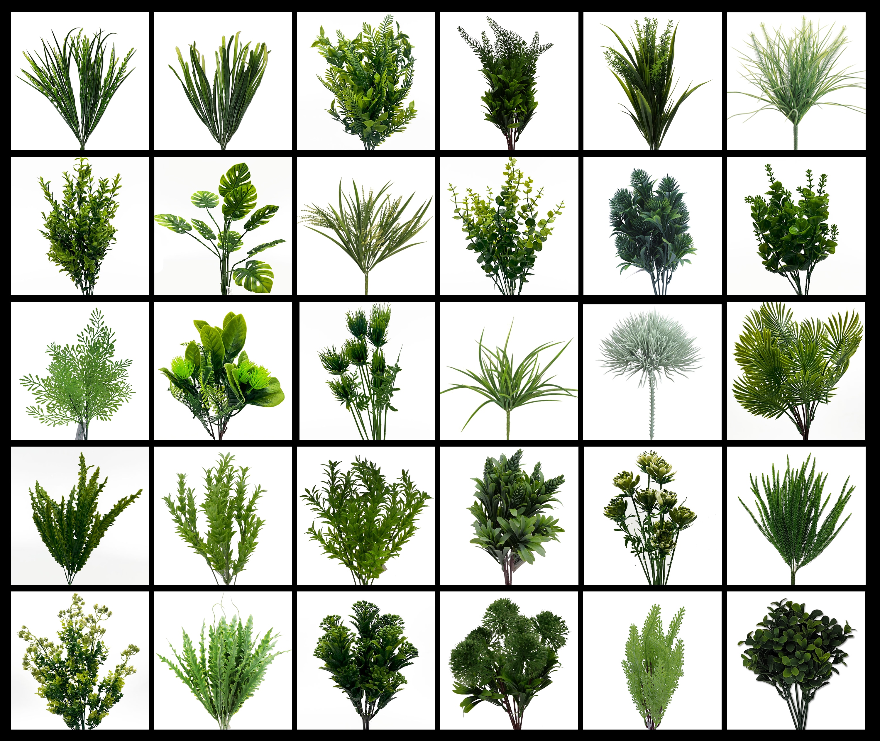 Essential Greens Plant Pack