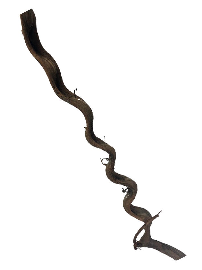 Twisted Branch XL