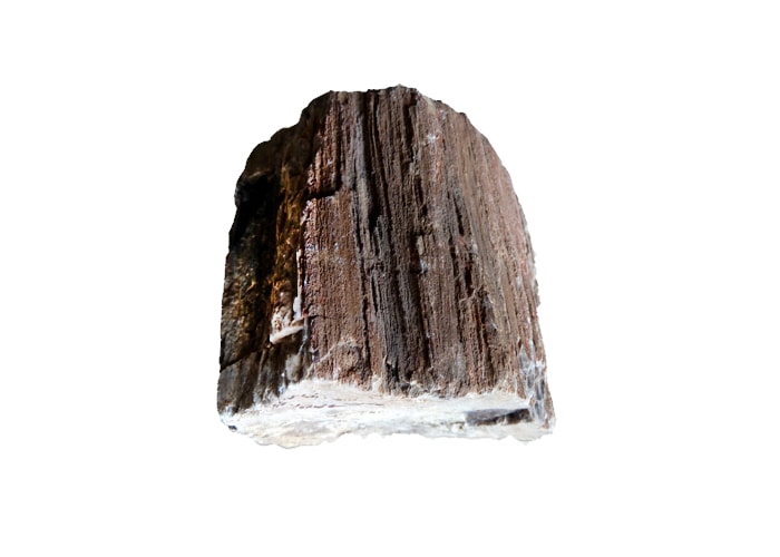 Wooden Fossil Stone (Petrified Wood Stone) 44lbs