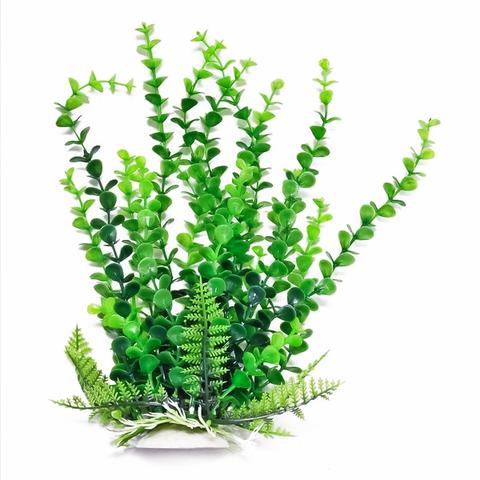 Bacopa-like 12