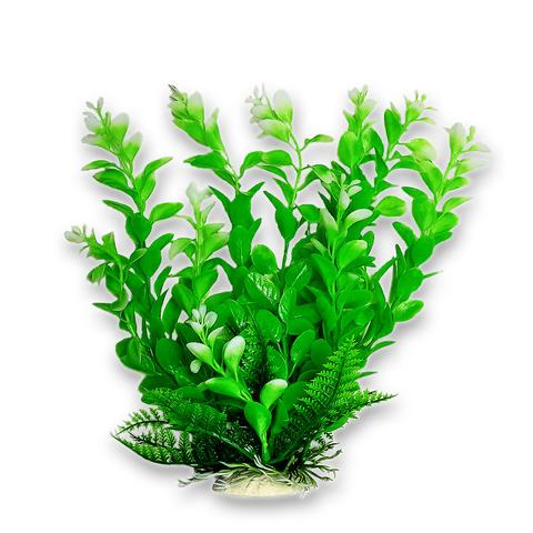 Green Plant, Light White Tips 9