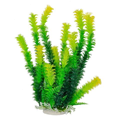 Green Plant, Light Yellow Tips 12