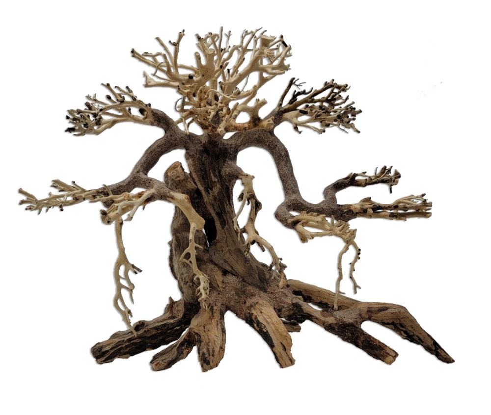 Savanna Bonsai Lg