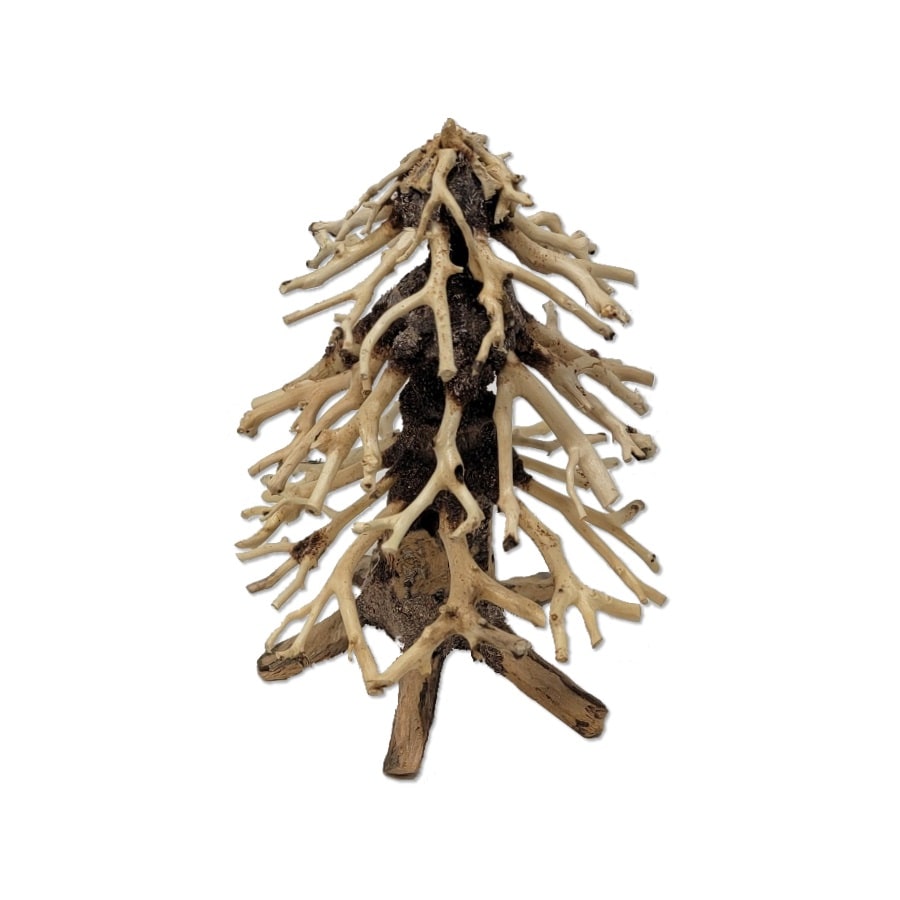 Xmas Tree Bonsai Lg