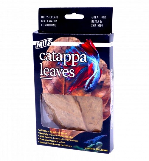 Catappa Leaves - 10pack
