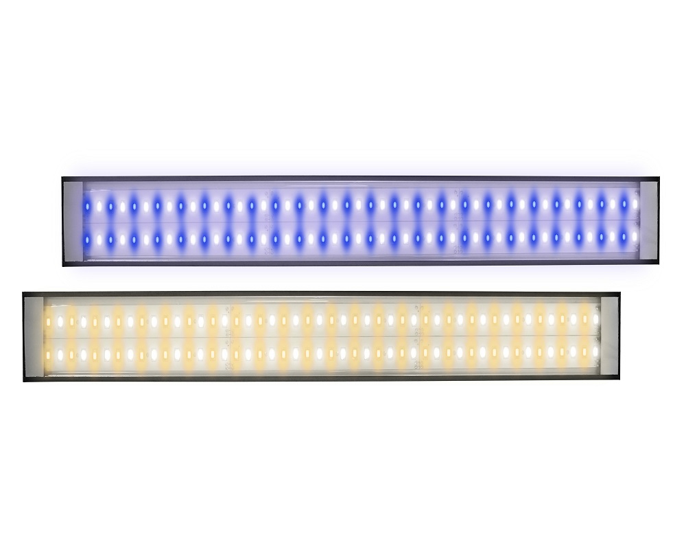 LumiLite Pro 50/50 LED Strip 24