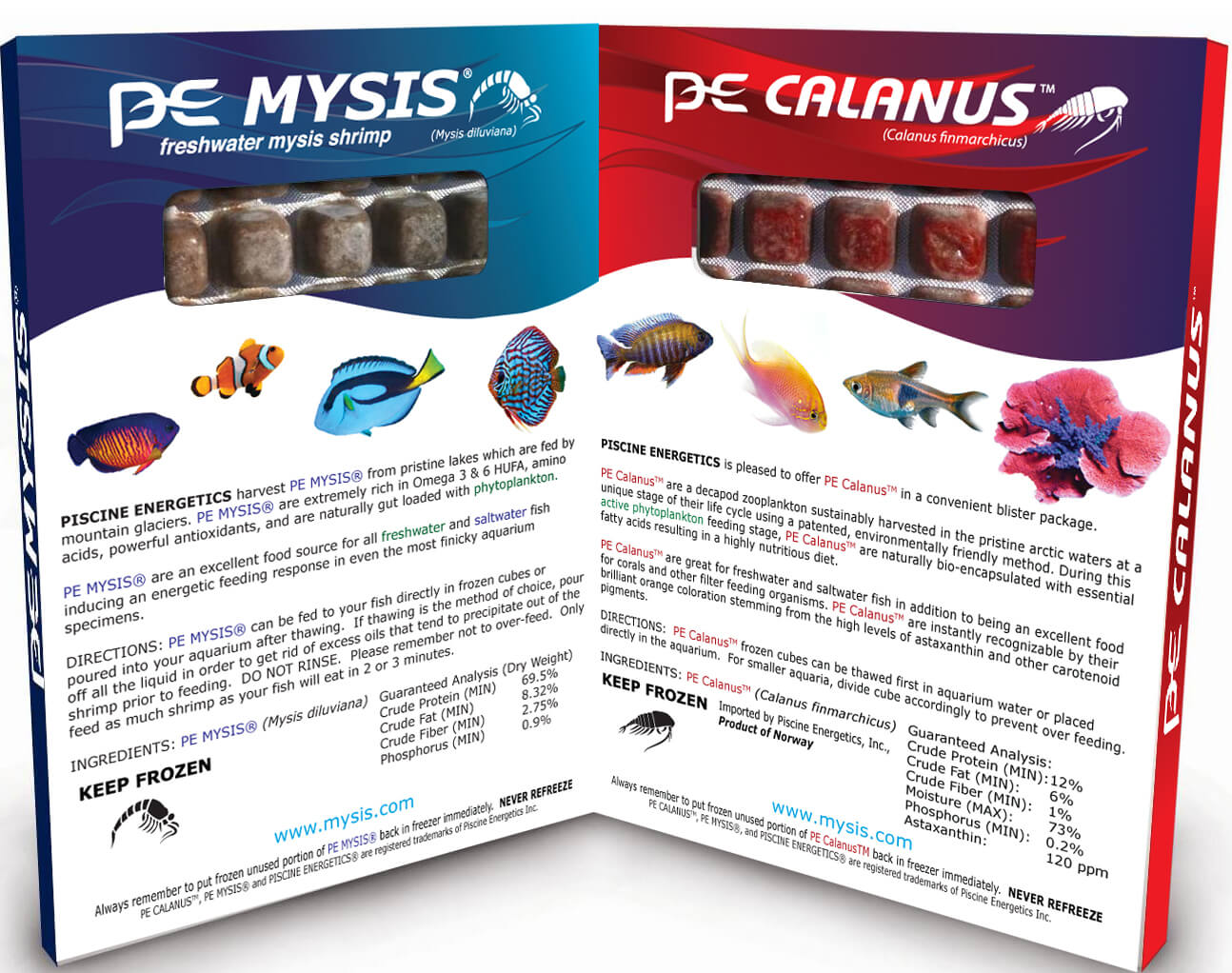 Mysis Shrimp / Calanus Cubes (Frozen) 8oz