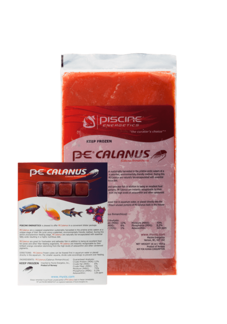 Calanus Flatpack (Frozen) 16oz