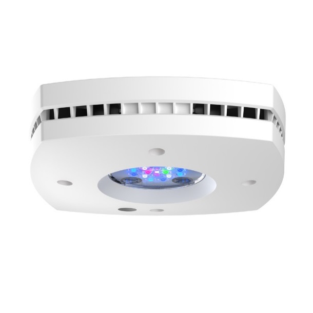 White Prime 16HD Reef