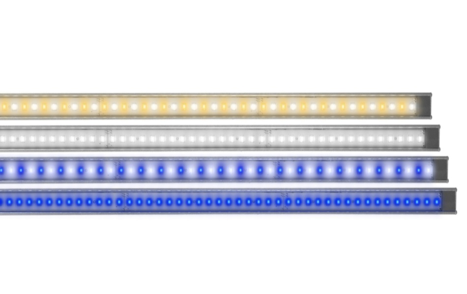 LumiLite 50/50 LED Strip 24