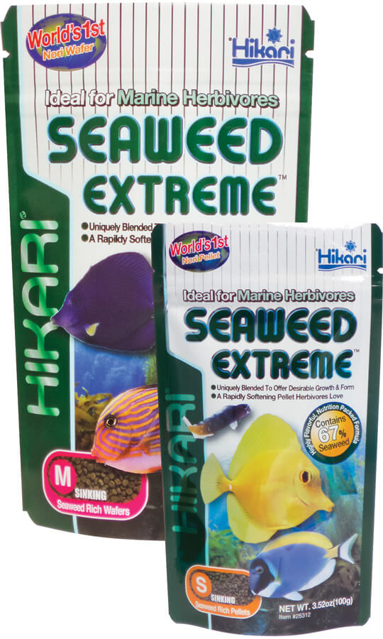 Seaweed Extreme Medium Pellets 3.16oz