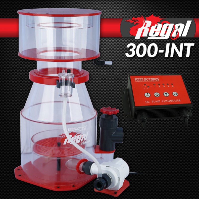 REGAL-300INT Regal 12