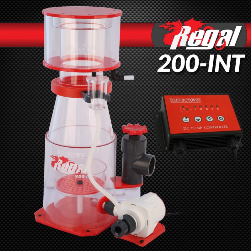 REGAL-200INT Regal 8