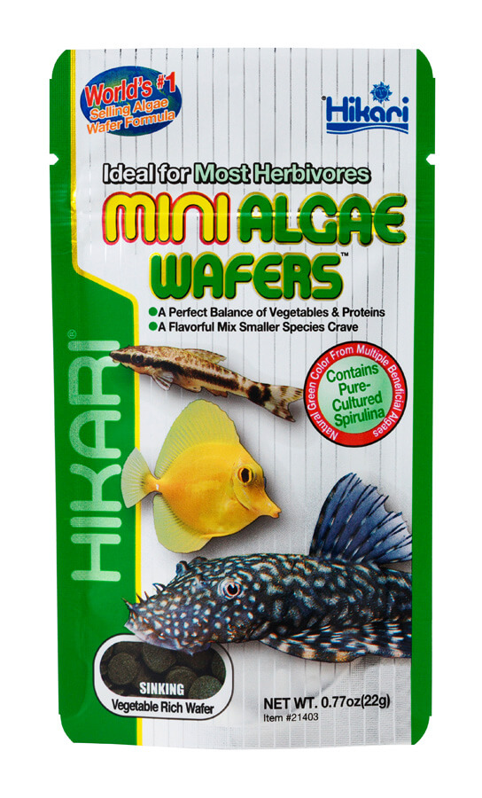 Mini Algae Wafers .77oz