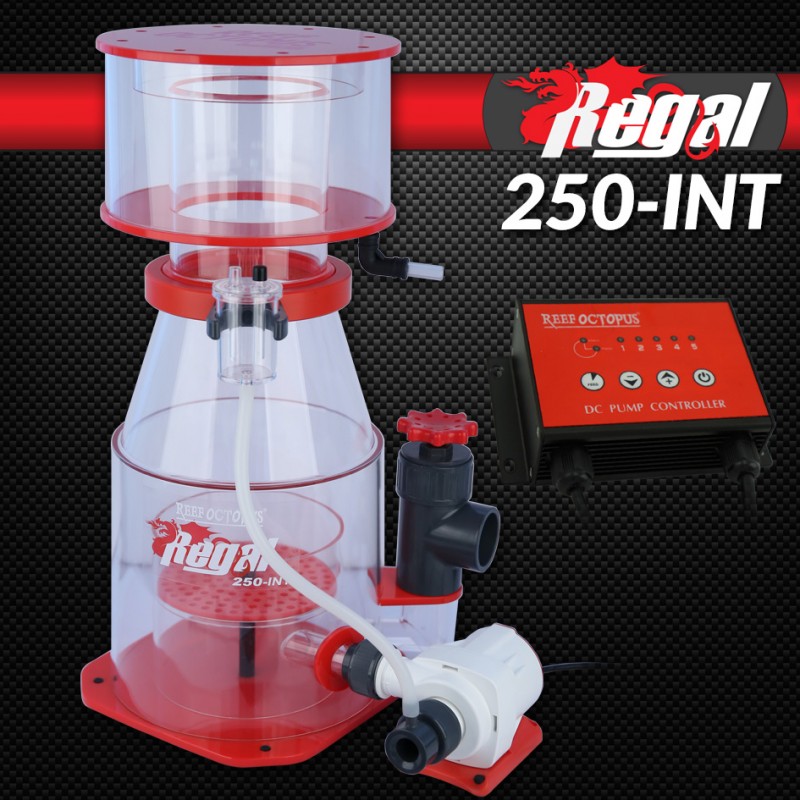 REGAL-250INT Regal 10