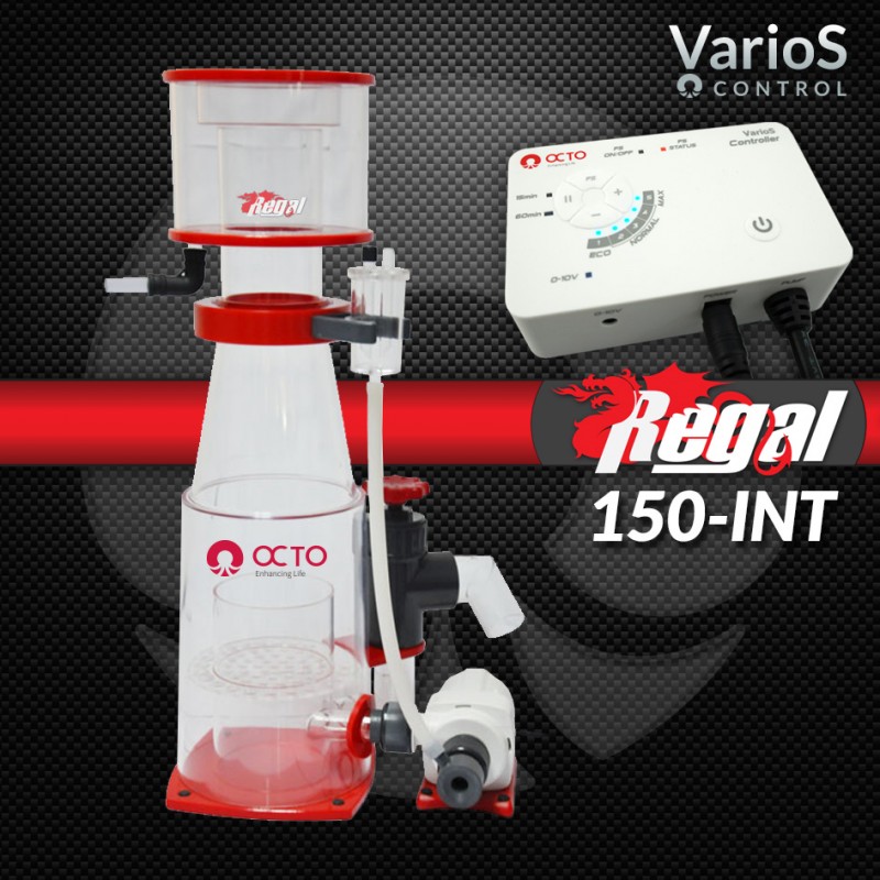 REGAL-150INT Regal 6