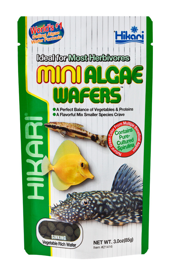 Mini Algae Wafers 3oz