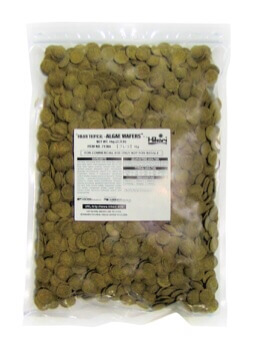 Algae Wafers 2.20lb