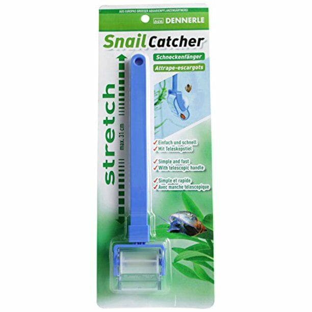 Snail Catcher