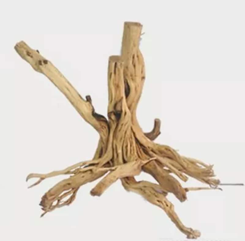 Redmoor Root - Lg 24