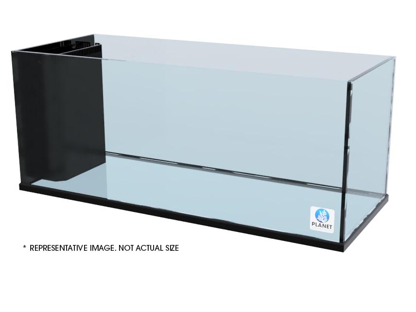 Rimless 36.5 x 18.5 x 24.75 Peninsula Aquarium
