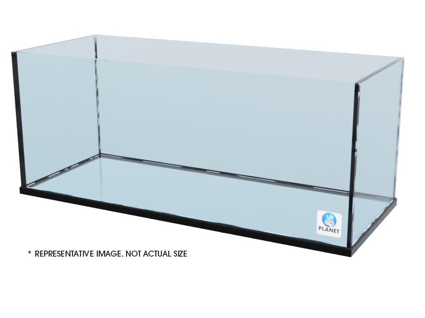 Rimless 24.5 x 24.5 x 24.75 Show Aquarium